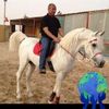 meshelshenouda