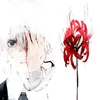 insetosnomeucadaver