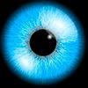 aboalkher28