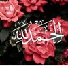 user8418063741219