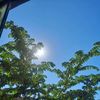 rociiii_044