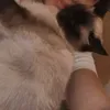 suukidaaa00