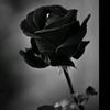 bodourkhaled9