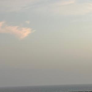 nourah_761