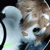 neiko_fox