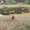 alejandrocorrea086