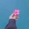 nurhandayani173