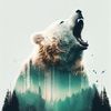 megabear27