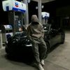 shark_officiell