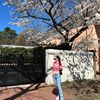 claracorrea_mc