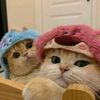 capricorngirll98