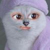 tiramisyuuuuuv_
