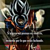 jere33.3