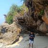 ndreardn1