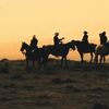 jeeprubiconhorses