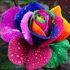 user4234161995364