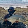 sigit_permana317