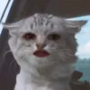 miccccccc0