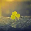 thnhxun163