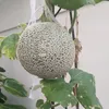 dualuoi010