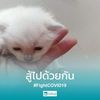 dy29bwghujfi5