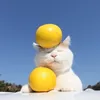 sunisa_y8