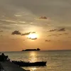 gualbertomescrimadora