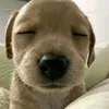 _mainhi.sayhi