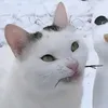 mercur1um0