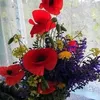 yousif.ru75