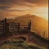 seadad_1
