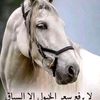 abonasser59