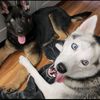 sadie_may_and_nico