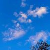tibyan.mohamed3