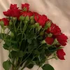 daryai_xam9