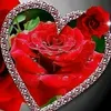 dy25ghqny3fc