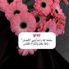 amthiab2022