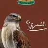 hosain_12ha
