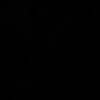 .des323