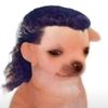 user144072069