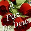 yolanda.gonalves.r