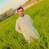 gull_badsha5