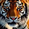 vichi_62