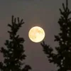 imnotmoon05