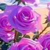 mohammadjamal4257