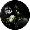 kiran_arfan_