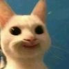 cookieskape1