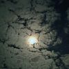 mahmoud_almuawei