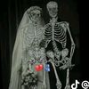 ahmedabusalimaljaafaria1