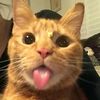 nannnnnnnxzzzz